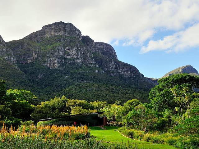 Kirstenbosch Gardens